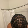 Retwist & style- shoulder length & shorter