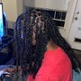 Retwist & style- shoulder length & shorter