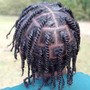 Two Strand Twist