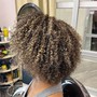 Root Touch Up