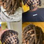 Starter Locs