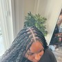 Lemonade Fulani braids