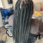 Lemonade Fulani braids