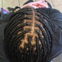 Butterfly locs Touch up