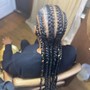 Small Box Braids