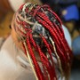 Two layer tribal/fulani  no individuals