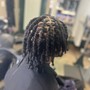 Starter Locs