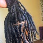 Mens Single Braids