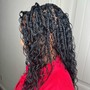 Havana Twists