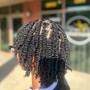 Medium 2 strand twist