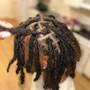 Starter Locs