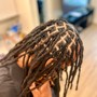 Starter Locs