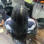 Senegalese’s  small  mid back twist