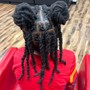 Havana/Marley Twists