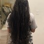 Medium Senegalese Twist