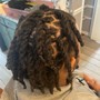 Starter Locs