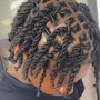 Starter Locs