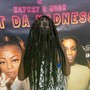 Medium box Braids