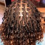 Comb Twist