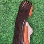 (Small) knotless braids (mid-back)