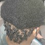 Starter Locs