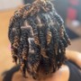 Natural Hair (Flat Twists Style)