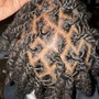 Starter locs (Adult)