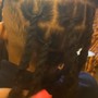 Starter locs (Adult)