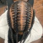 Feed In Braids (straight back)