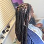 Loc retwist