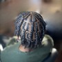 Two Strand Twists