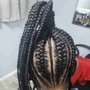 2 large feeder Braids