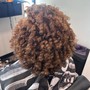 Root Touch Up