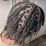 Butterfly Locs Bob (Hair Included)