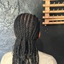 Longer than waist/butt length locs