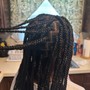 Two Strand Twists/Mini Twists