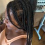 Two Strand Twists/Mini Twists