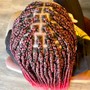 Micro Locs /  Interlock Retwist