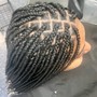 Individual Braids/box braids medium