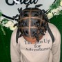 Poetic Justice Braids