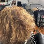 Root Touch Up