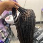 Root Touch Up