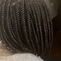 Havana Twists