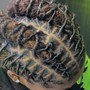 Loc Retwist