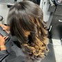 Partial Balayage / Highlights + Silk Press