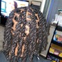 Tree Braids