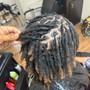 Starter locs