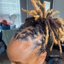 Loc retwist