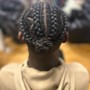 Kid's Braided Ponytail