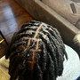 Starter Locs